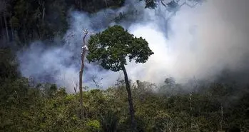 سیستم هشدار زودهنگام آتش‌سوزی پارک ملی گلستان از اینترنت اشیا استفاده می‌کند!