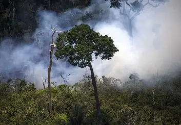 سیستم هشدار زودهنگام آتش‌سوزی پارک ملی گلستان از اینترنت اشیا استفاده می‌کند!