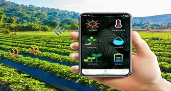 کشاورزی مدرن در ایران با تلاش 100 شرکت دانش بنیان توسعه یافت