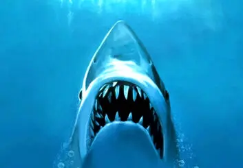 ساخت ریبوت فیلم آرواره ها با مخالفت استیون اسپیلبرگ مواجه شد
