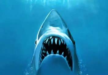 ساخت ریبوت فیلم آرواره ها با مخالفت استیون اسپیلبرگ مواجه شد