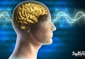 استارت آپ های علوم شناختی مورد حمایت قرار می‌گیرند | ارسال درخواست تا 20 تیر ماه