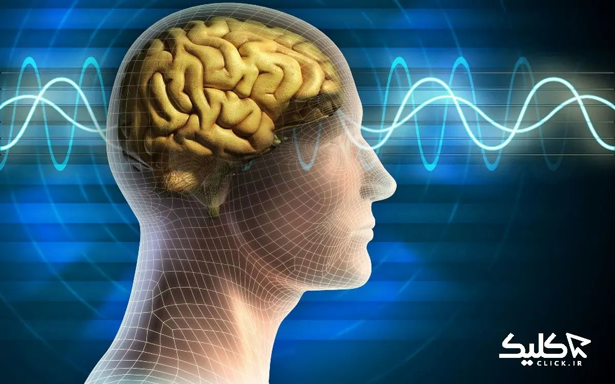 استارت آپ های علوم شناختی مورد حمایت قرار می‌گیرند | ارسال درخواست تا 20 تیر ماه