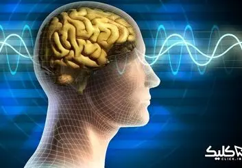 استارت آپ های علوم شناختی مورد حمایت قرار می‌گیرند | ارسال درخواست تا 20 تیر ماه
