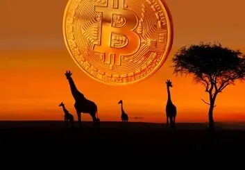 آیا بیت کوین پول قانونی برخی کشورهای آفریقایی خواهد شد؟
