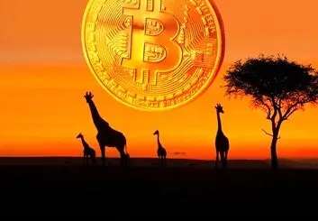آیا بیت کوین پول قانونی برخی کشورهای آفریقایی خواهد شد؟