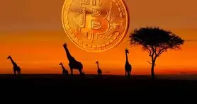 آیا بیت کوین پول قانونی برخی کشورهای آفریقایی خواهد شد؟