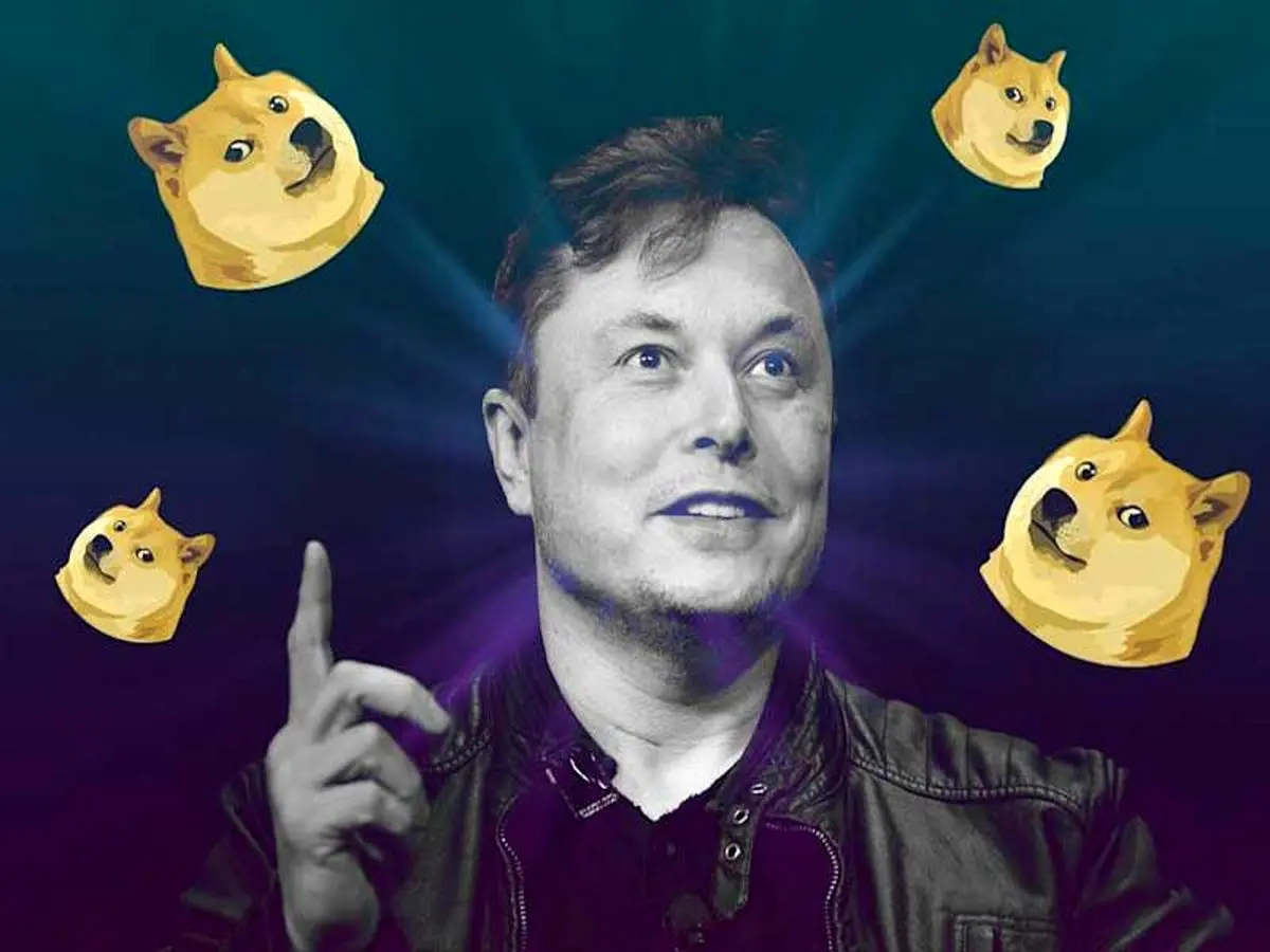 حمایت ایلان ماسک پس از کاهش 7 درصدی قیمت دوج کوین