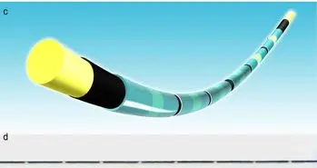 تامین برق فیبرهای نوری از مارماهی ها