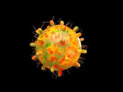 کرونا لامبدا چیست و درباره آن چه می‌دانیم؟