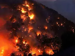 بالگردهای اعزامی برای آتش سوزی ارسباران کارایی ندارد!