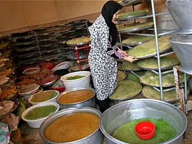 فراخوان وزارت کار برای حمایت از کسب‌وکارهای خانگی