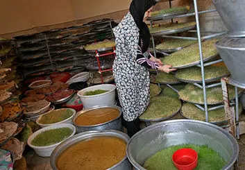 فراخوان وزارت کار برای حمایت از کسب‌وکارهای خانگی