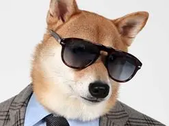 قیمت «دوج کوین» و «شیبا اینو» روند صعودی در پیش گرفتند | بازگشت سگ‌های بامزه!