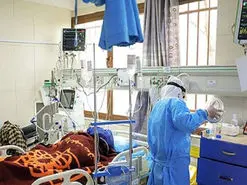 ۶۸۴ مرگ کرونا در یک روز سیاه‌ترین روز کرونایی ایران را رقم زد!