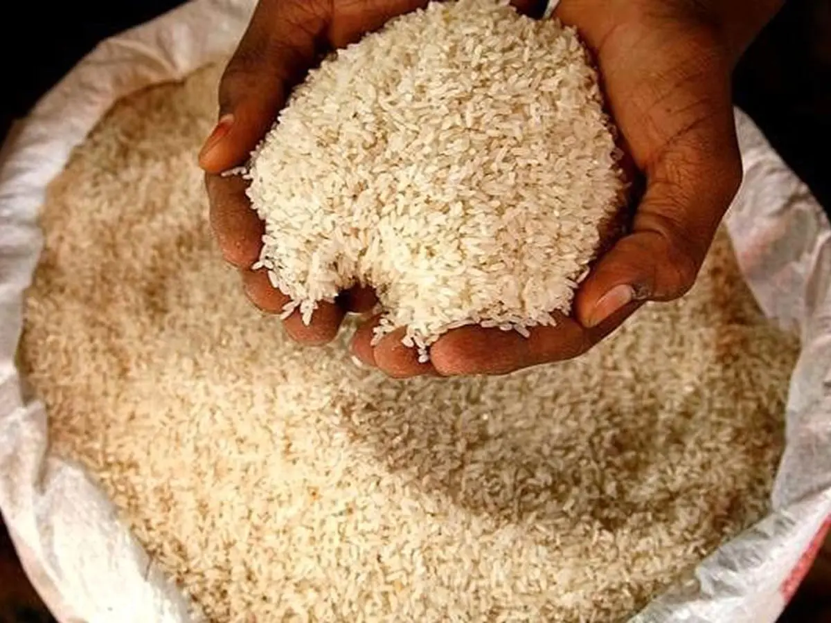 گرانی ویران کننده برنج | قیمت برنج ۳۸ درصد بالا رفت!