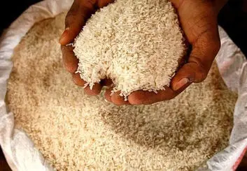 گرانی ویران کننده برنج | قیمت برنج ۳۸ درصد بالا رفت!