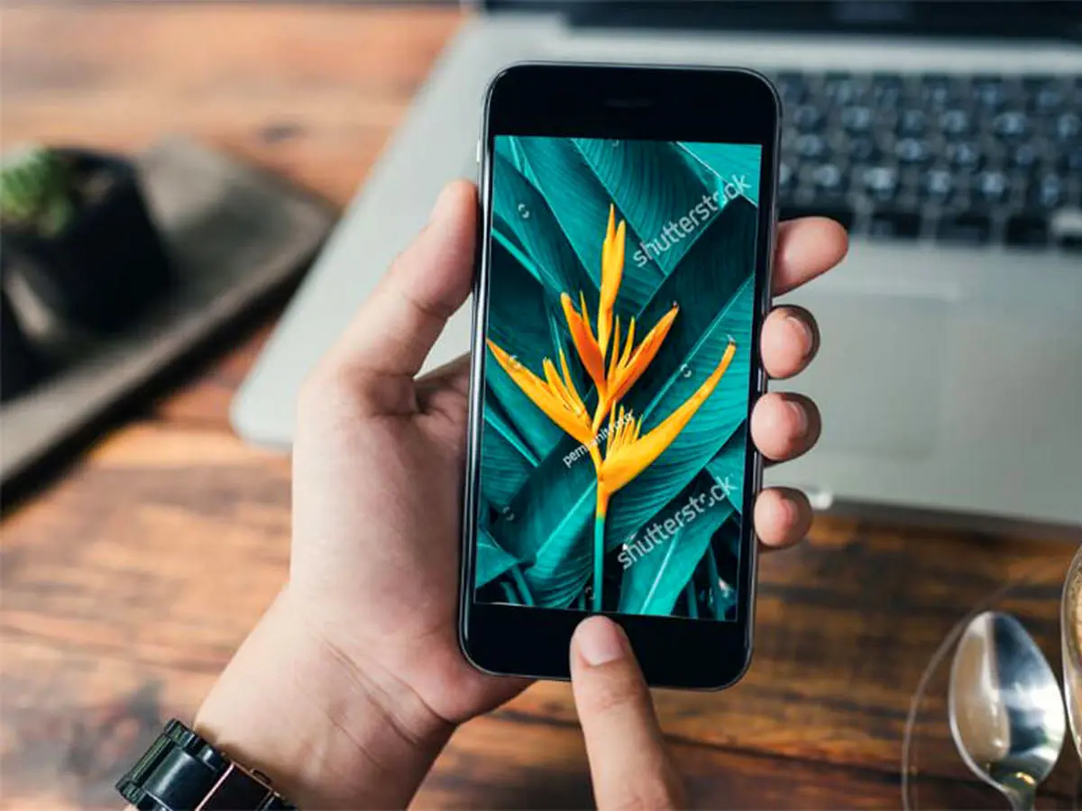 معرفی بهترین برنامه پاک کردن لوگو از روی فیلم