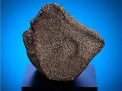 به نمایش درآمدن بزرگترین شهاب سنگ مریخی