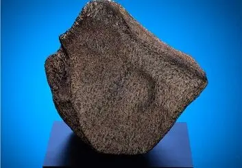 به نمایش درآمدن بزرگترین شهاب سنگ مریخی
