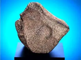 به نمایش درآمدن بزرگترین شهاب سنگ مریخی