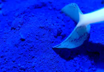 کمیاب‌ترین رنگ طبیعت کدام است؟