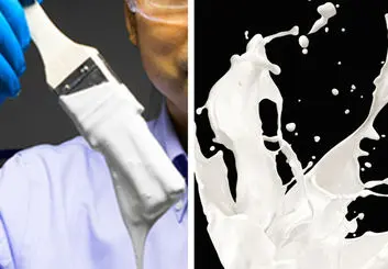 ثبت سفیدترین رنگ جهان در رکوردهای گینس