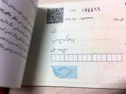 اجرای سامانه صیاد اولین گام رسیدن به «اقتصاد دیجیتال»