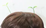 عجیب ترین اختراعات بشر | از گیره مو جوانه‌شکل تا کنسرو رتیل!