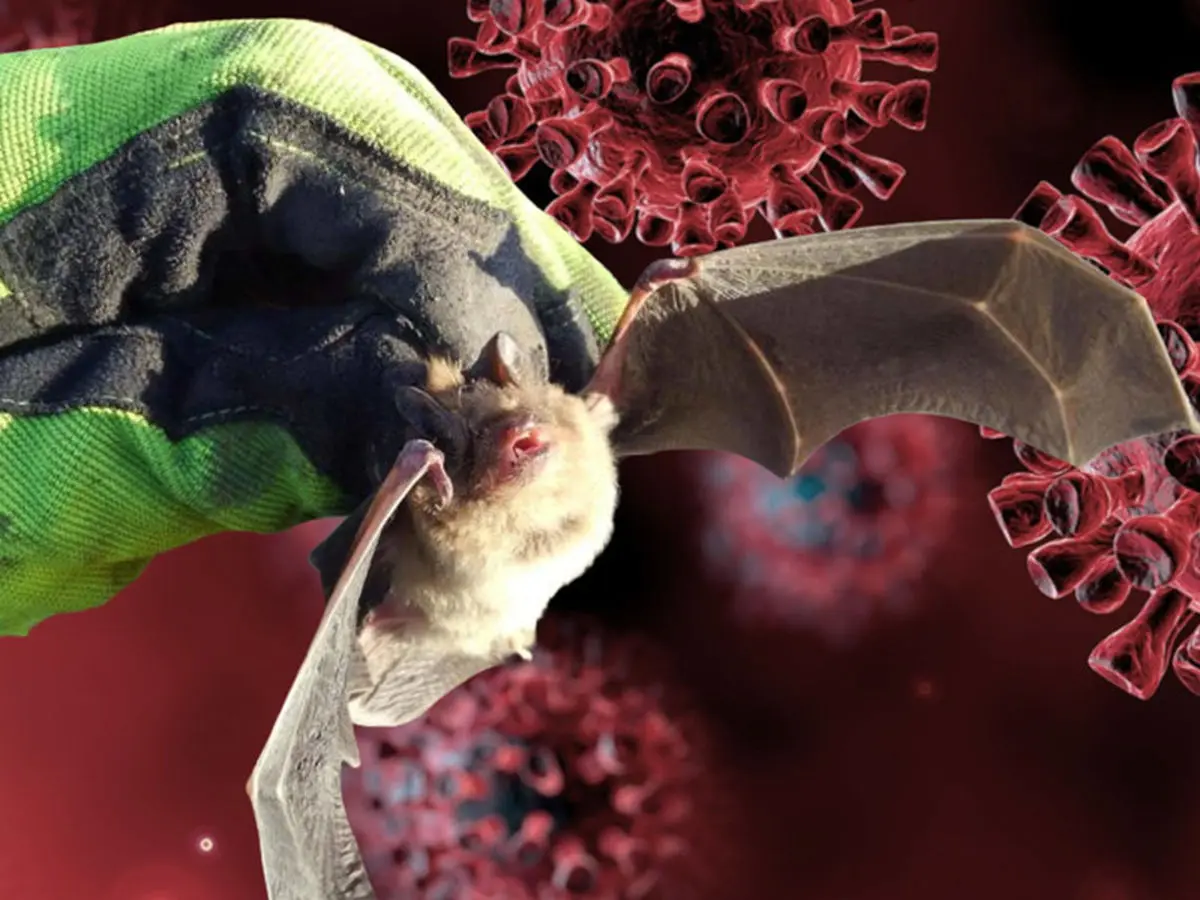 کرونا ساخته دست بشر نیست