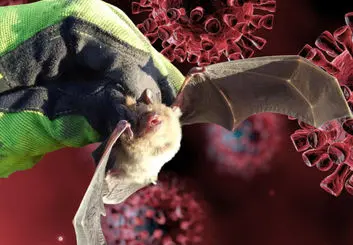 کرونا ساخته دست بشر نیست