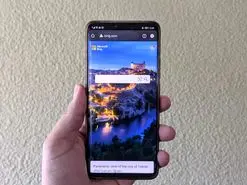 Google پرسرچ‌ترین کلمه موتور جستجوی مایکروسافت