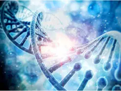 کشف احتمالی چگونگی پیدایش حیات از عدم بر زمین