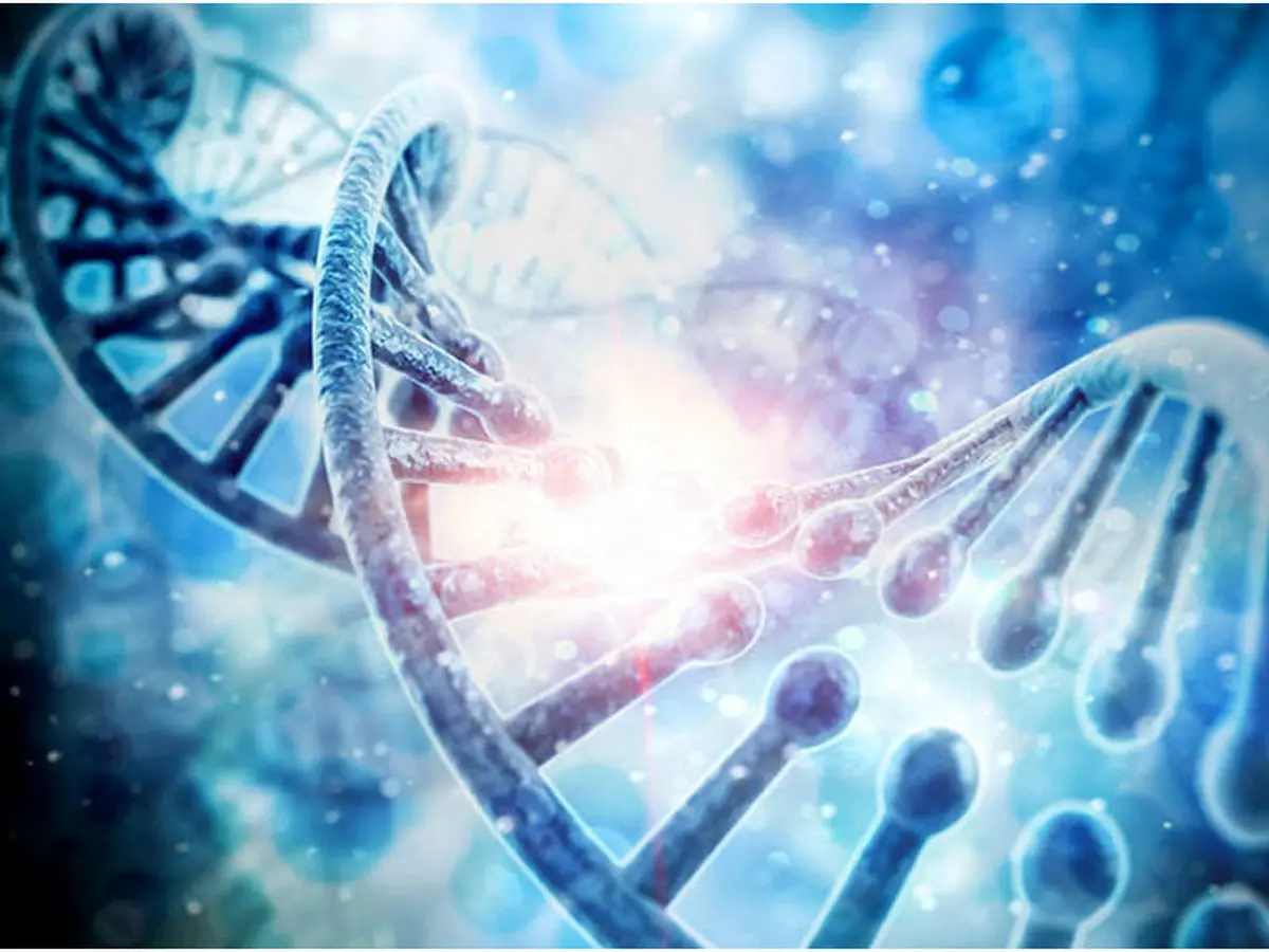 کشف احتمالی چگونگی پیدایش حیات از عدم بر زمین