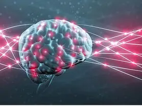 پاک کردن خاطرات بد به کمک یک پروتئین خاص