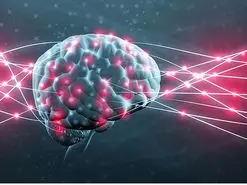 پاک کردن خاطرات بد به کمک یک پروتئین خاص