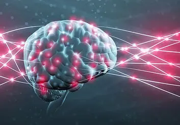 پاک کردن خاطرات بد به کمک یک پروتئین خاص