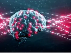 پاک کردن خاطرات بد به کمک یک پروتئین خاص