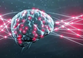 پاک کردن خاطرات بد به کمک یک پروتئین خاص