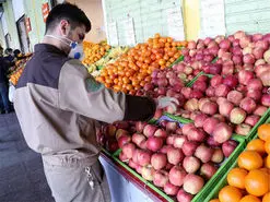 ساعت کار تره بار در نیمه دوم سال اعلام شد