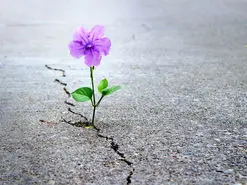 کرونا، بزرگترین عامل افسردگی از زمان جنگ جهانی دوم