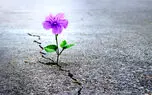 کرونا، بزرگترین عامل افسردگی از زمان جنگ جهانی دوم