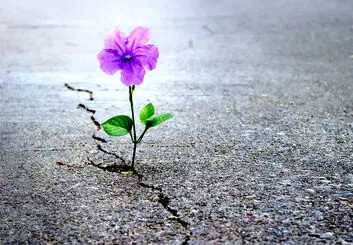 کرونا، بزرگترین عامل افسردگی از زمان جنگ جهانی دوم