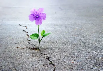 کرونا، بزرگترین عامل افسردگی از زمان جنگ جهانی دوم