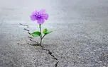 کرونا، بزرگترین عامل افسردگی از زمان جنگ جهانی دوم