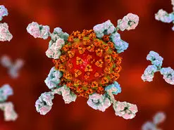 کرونا مغز را کوچک می‌کند!