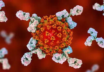 کرونا مغز را کوچک می‌کند!