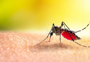 اولین واکسن مالاریا به تأیید سازمان جهانی بهداشت رسید