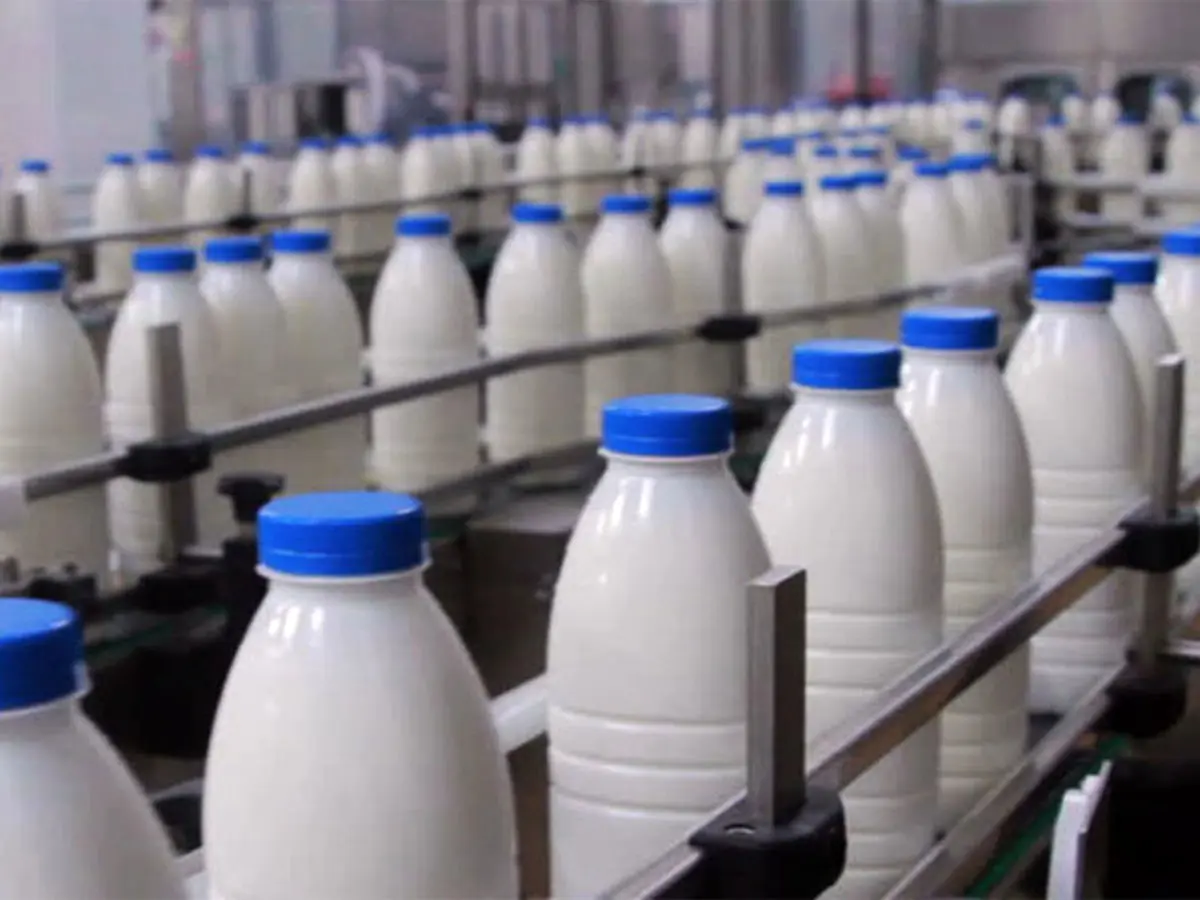 از امروز کدام لبنیات ۱۰ درصد ارزان می‌شوند؟