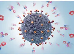 کشف آنتی بادی موثر در برابر گونه های مختلف کرونا